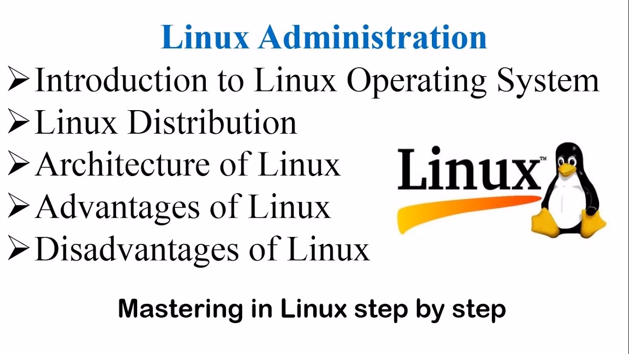 What are the fundamentals of Linux?
