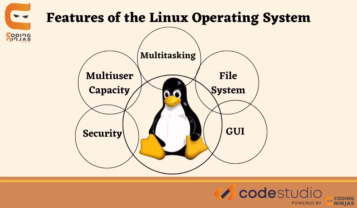 What are the fundamentals of Linux?