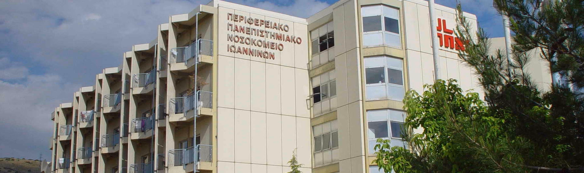 What services does the University of Ioannina offer?