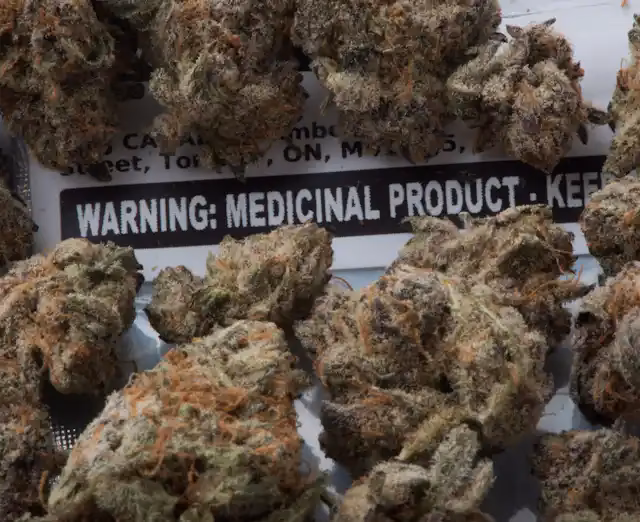 When did medical marijuana start in Canada?