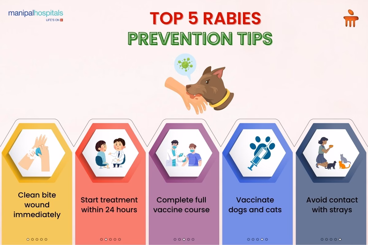 Is rabies curable?