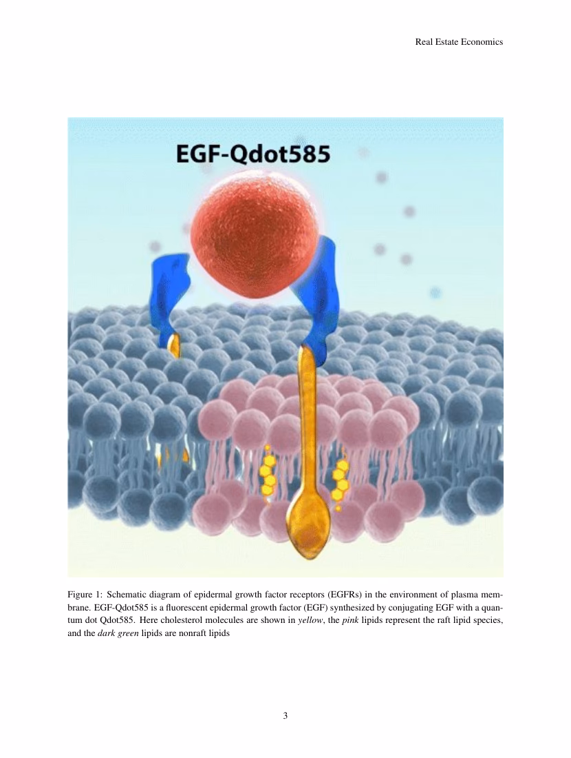 What is Cancer Science & Clinical Therapeutics?
