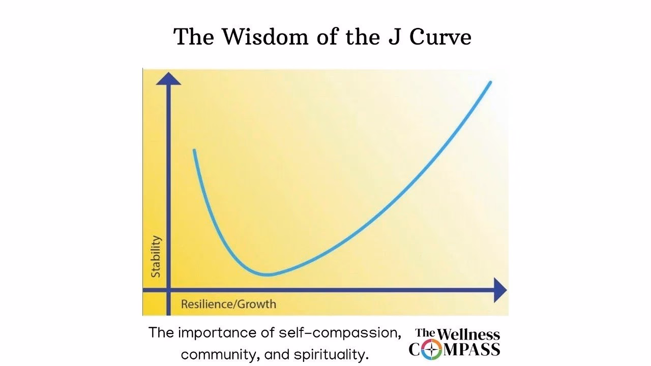 What is a J-curve?