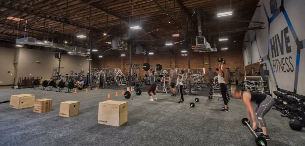 Is Hive a good place to learn Brazilian Jiu-Jitsu?