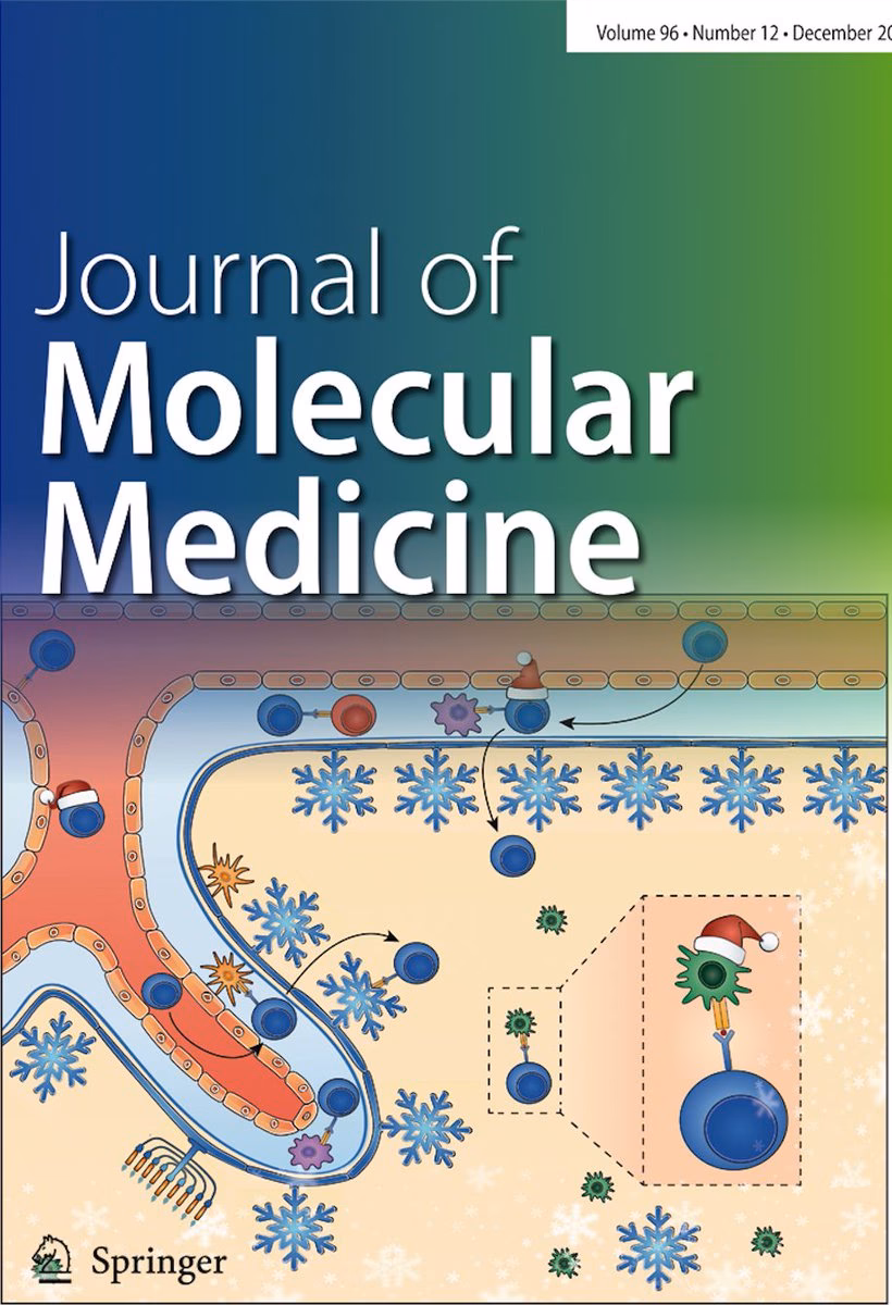 Who are the authors of the International Journal of Molecular Medicine?