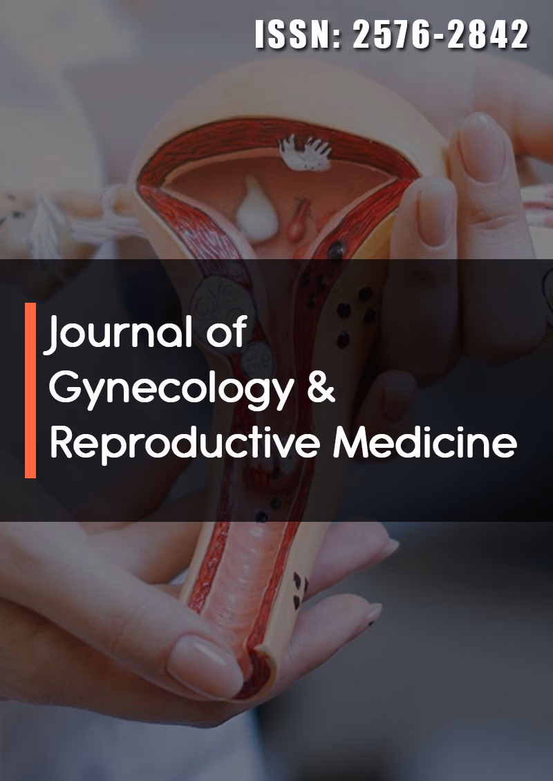 What is the Journal of maternity care & reproductive health?