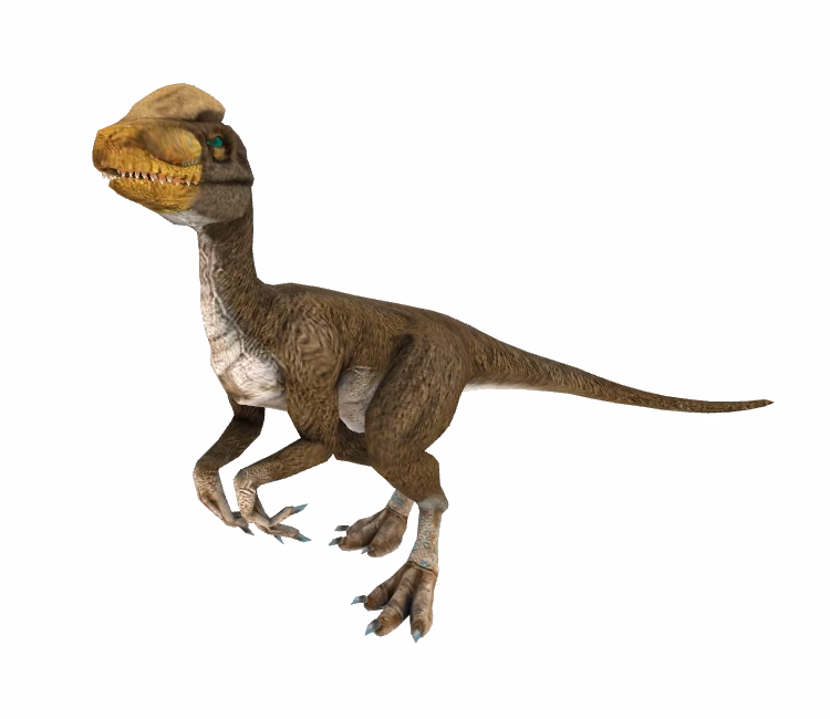 What is open range safari in Jurassic Park?