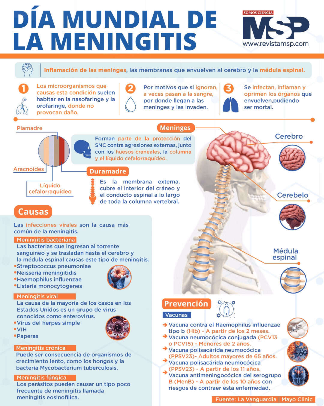¿Cómo se trata la meningitis bacteriana?