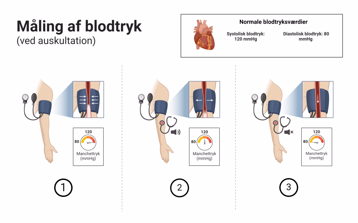 Hvad er kalium målt i plasma?