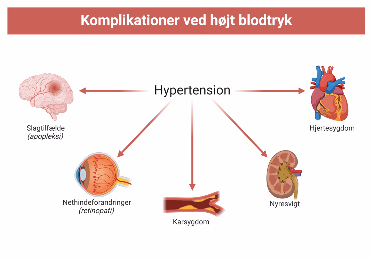 Hvad er kalium målt i plasma?