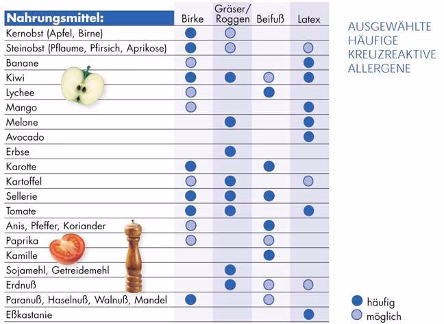 Wie kann man eine Allergie auf Schalenfrüchte verstehen?