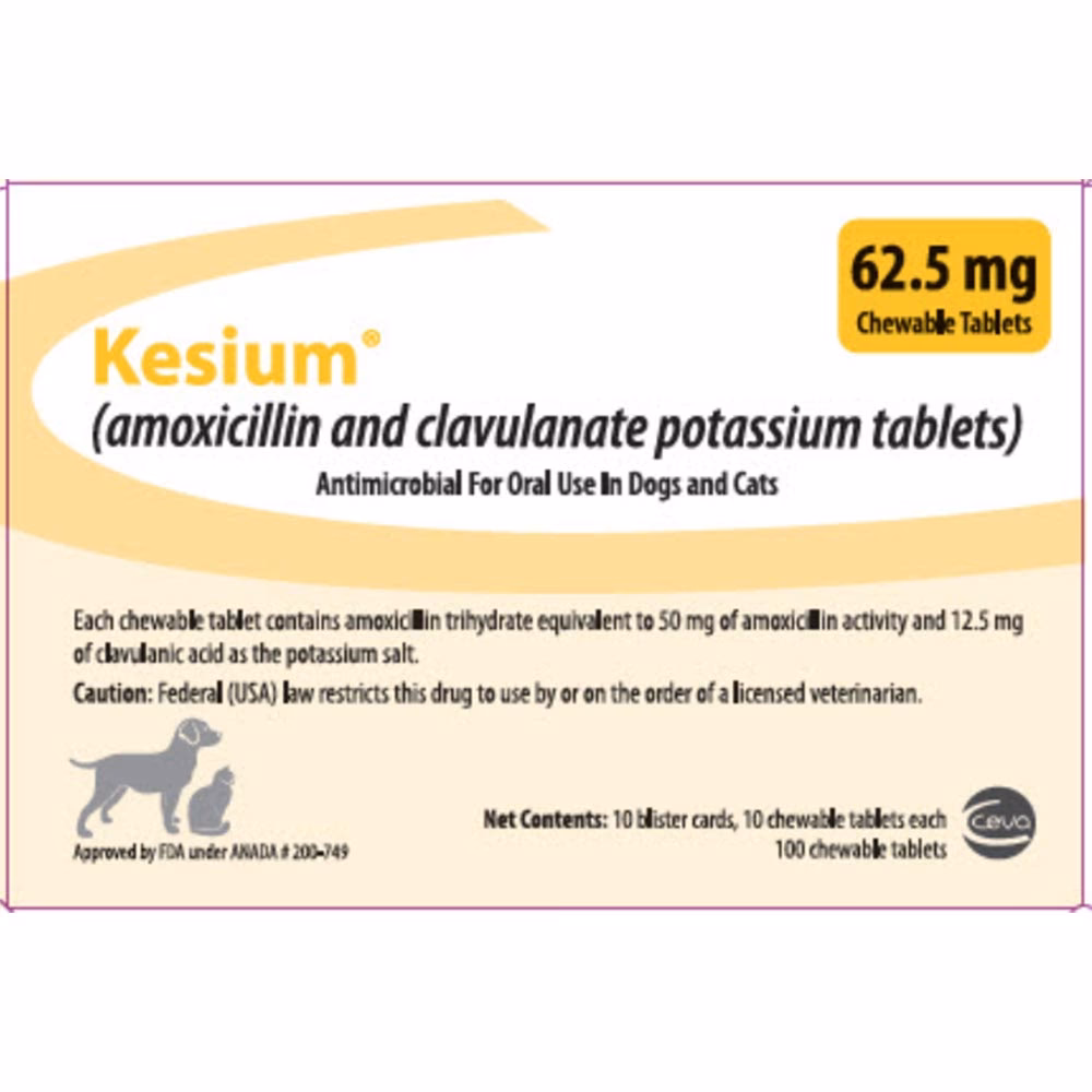 Gegen welche Bakterien ist Amoxicillin wirksam?