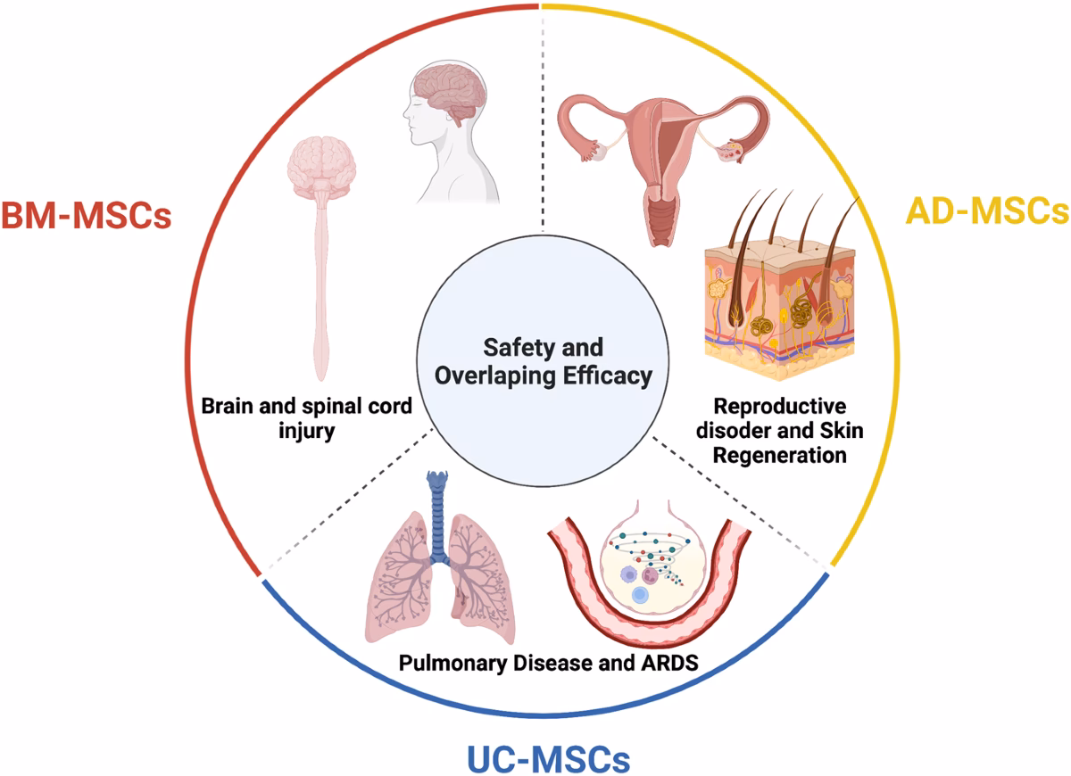 What are the advantages and challenges of regenerative medicine?