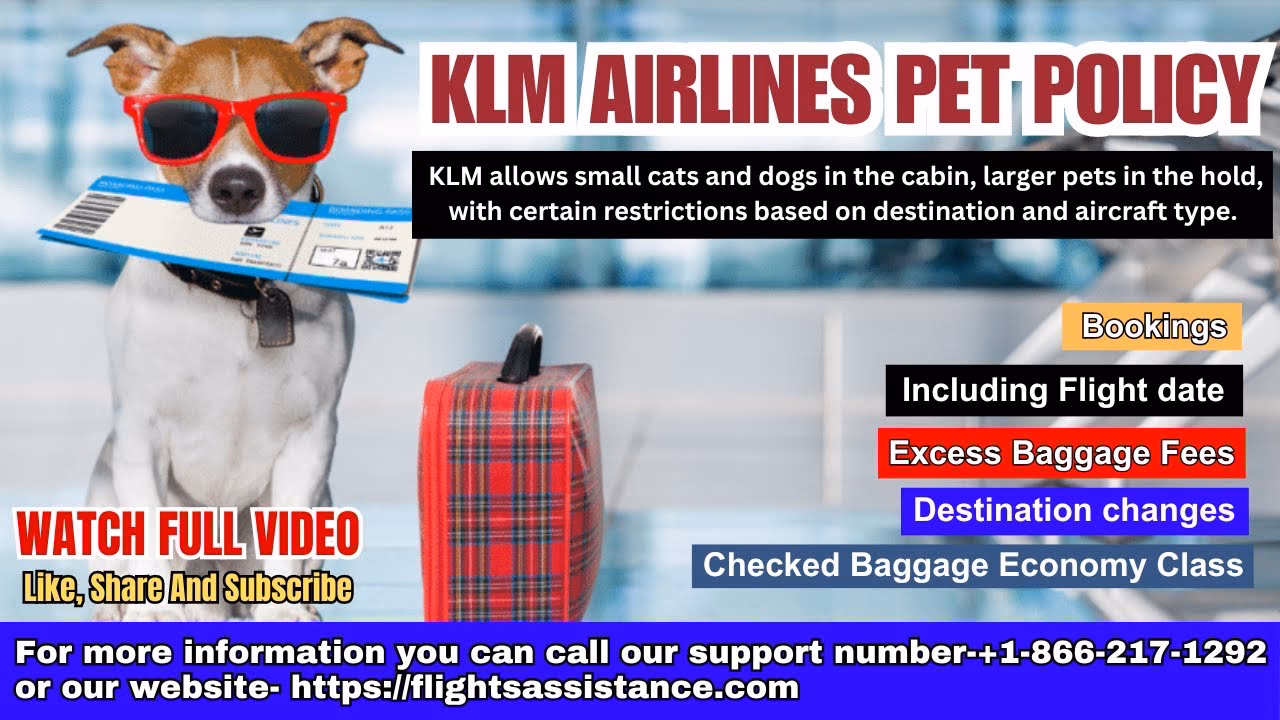 Can a KLM Flight be booked via KLM?