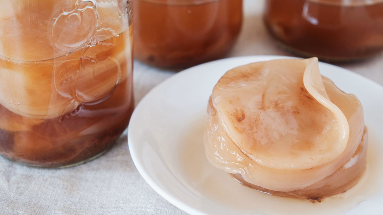 Does kombucha SCOBY contain yeast?