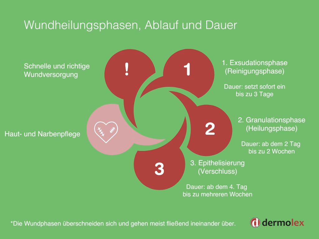 Was ist der Unterschied zwischen einer Kontamination und einer chronischen Wundinfektion?