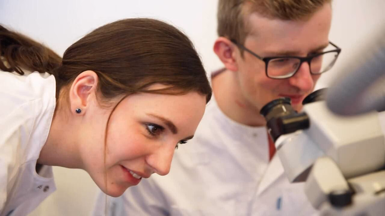 Can Erasmus trainees sign up for courses?