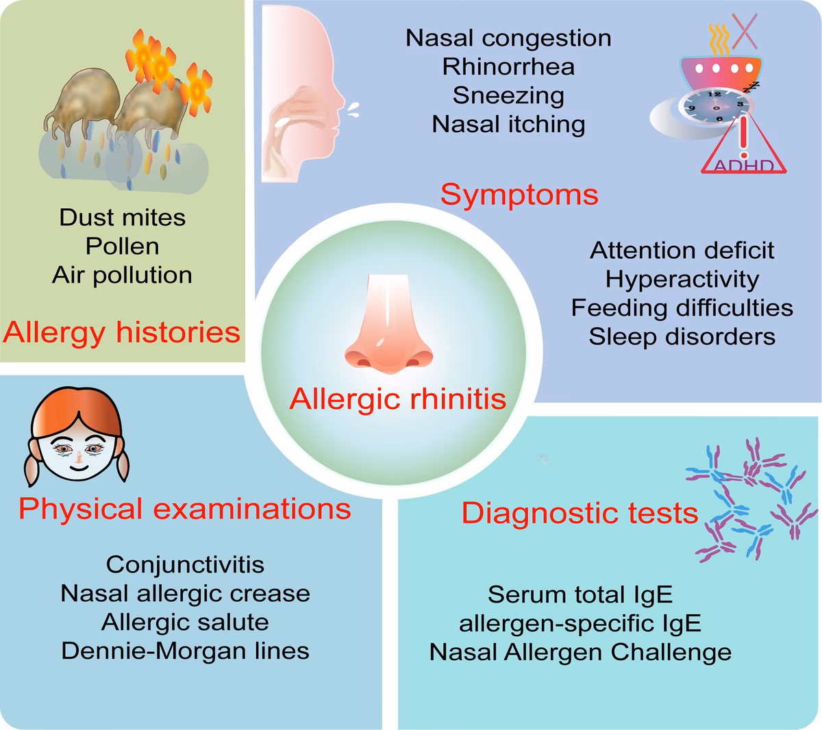 Do glutamine supplements cause rashes?