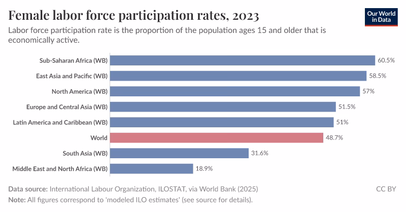 What is the difference between labor force participation and employment rate?