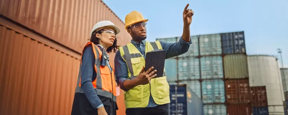 What does a labour inspector do?