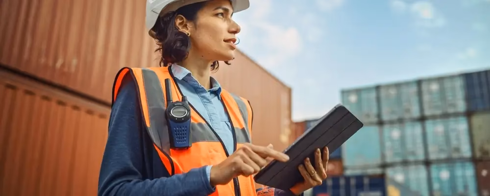 What does the Labour inspection team do?