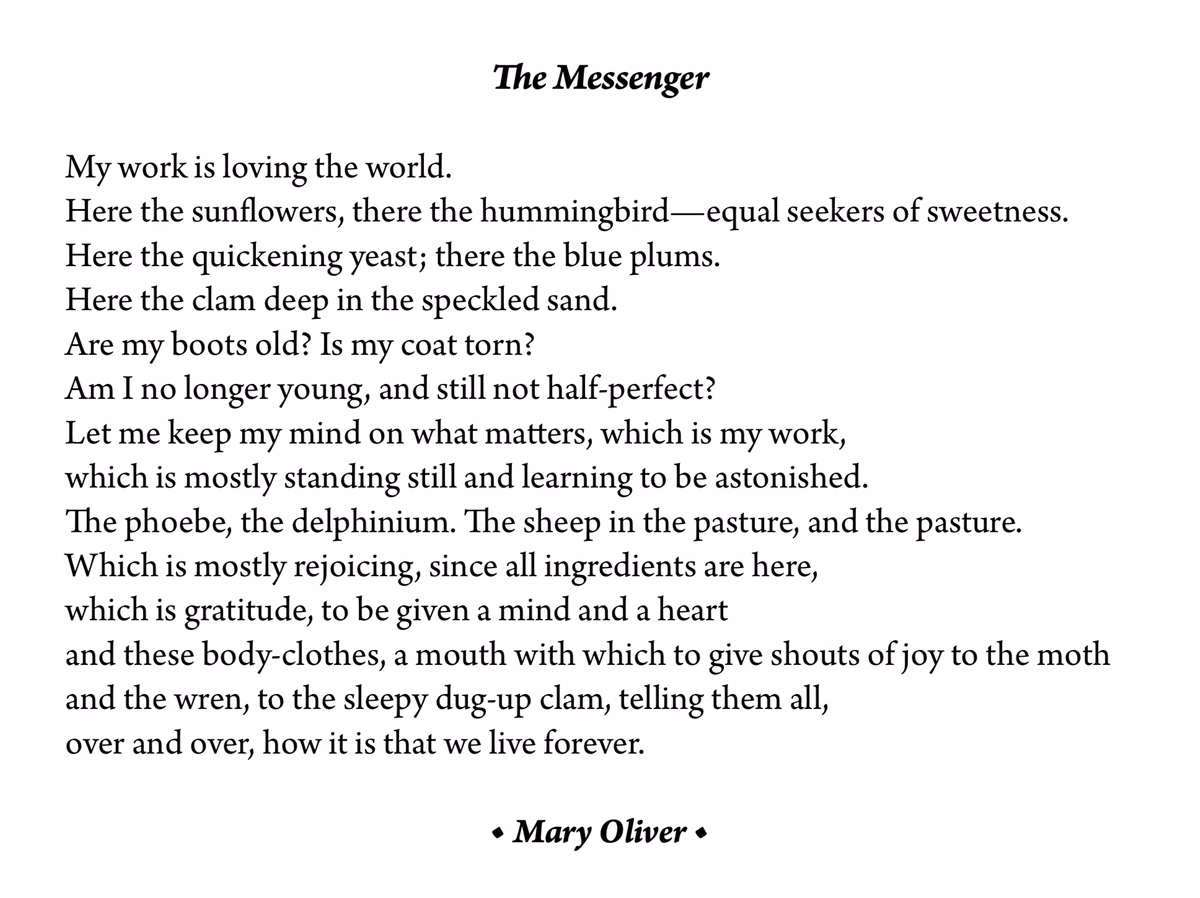 Did Mary Oliver write a poem?