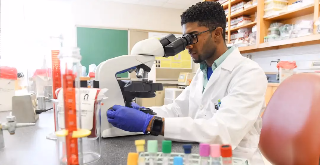 What is Journal of laboratory medicine?