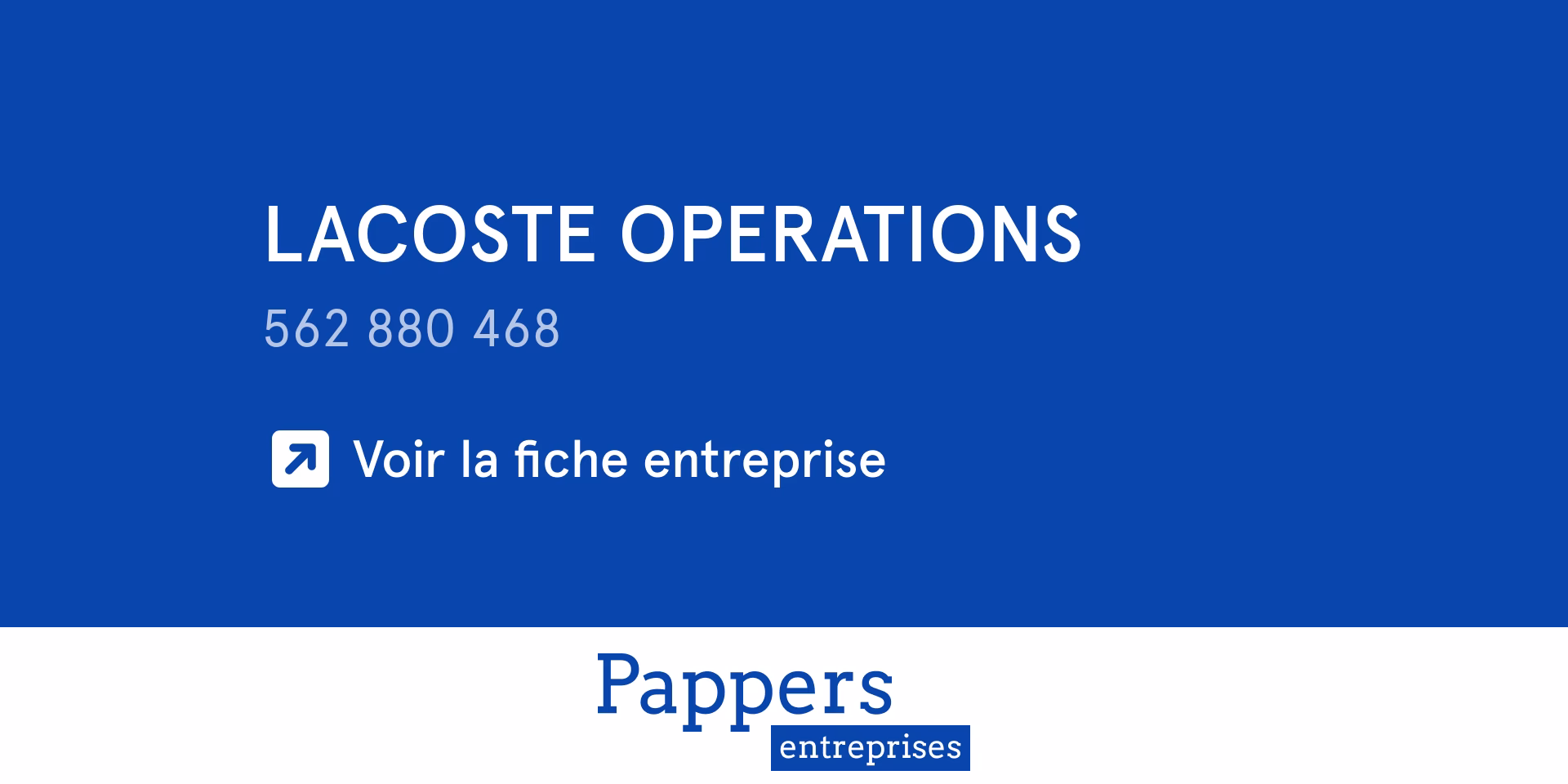 Qu'est-ce que le bilan de l'entreprise Lacoste ?