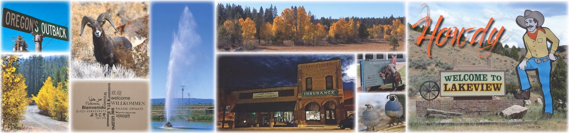 What services are available at Lakes District Hospital?