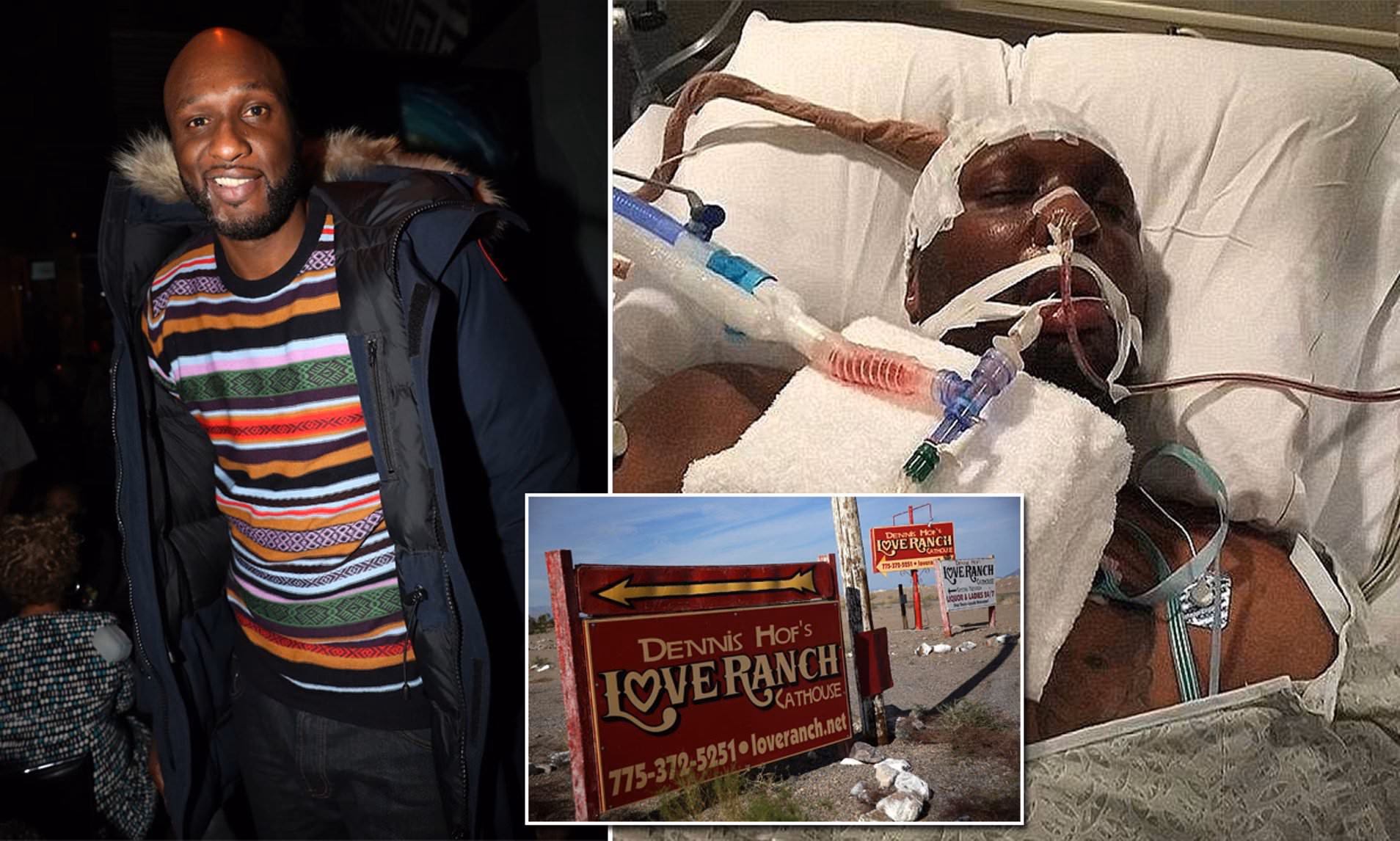 What happened to Lamar?