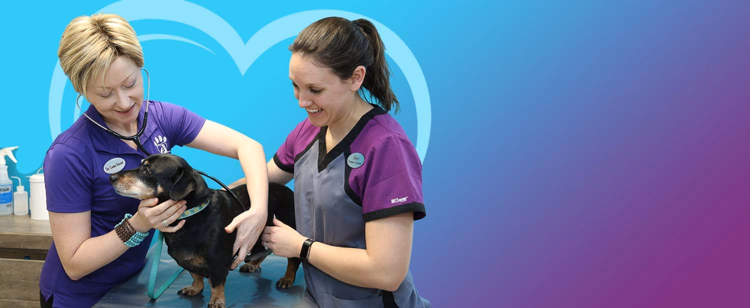 What is West Lancaster Animal Hospital?