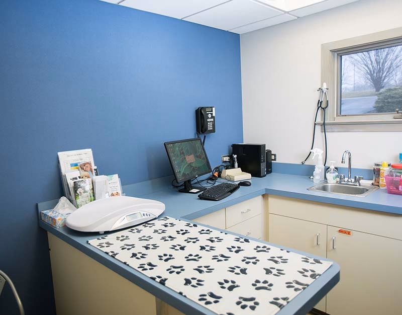 Why should I visit a Vet & animal hospital in Lancaster?