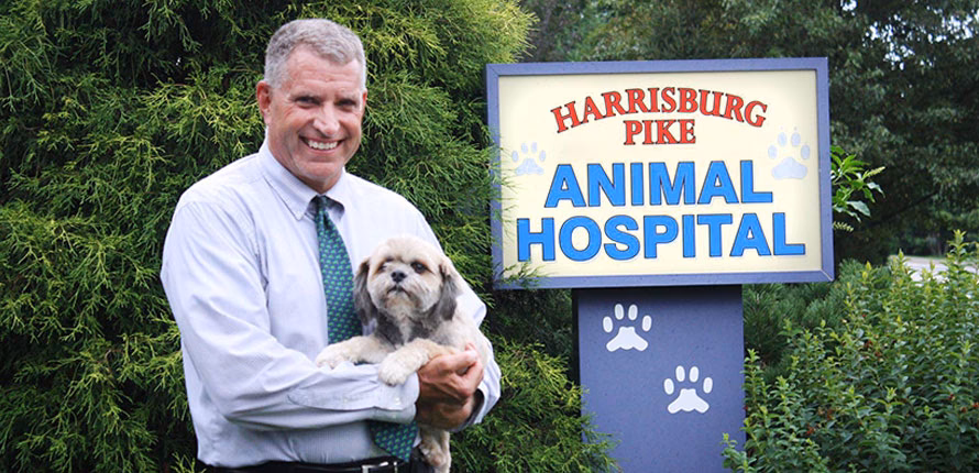 Who is animal hospital?