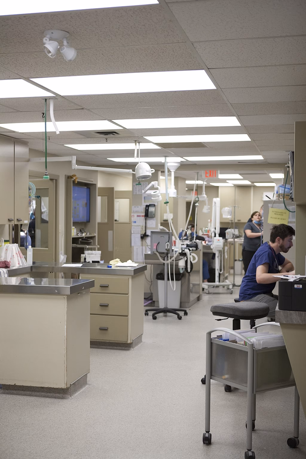 Who is Langley meadows animal hospital?