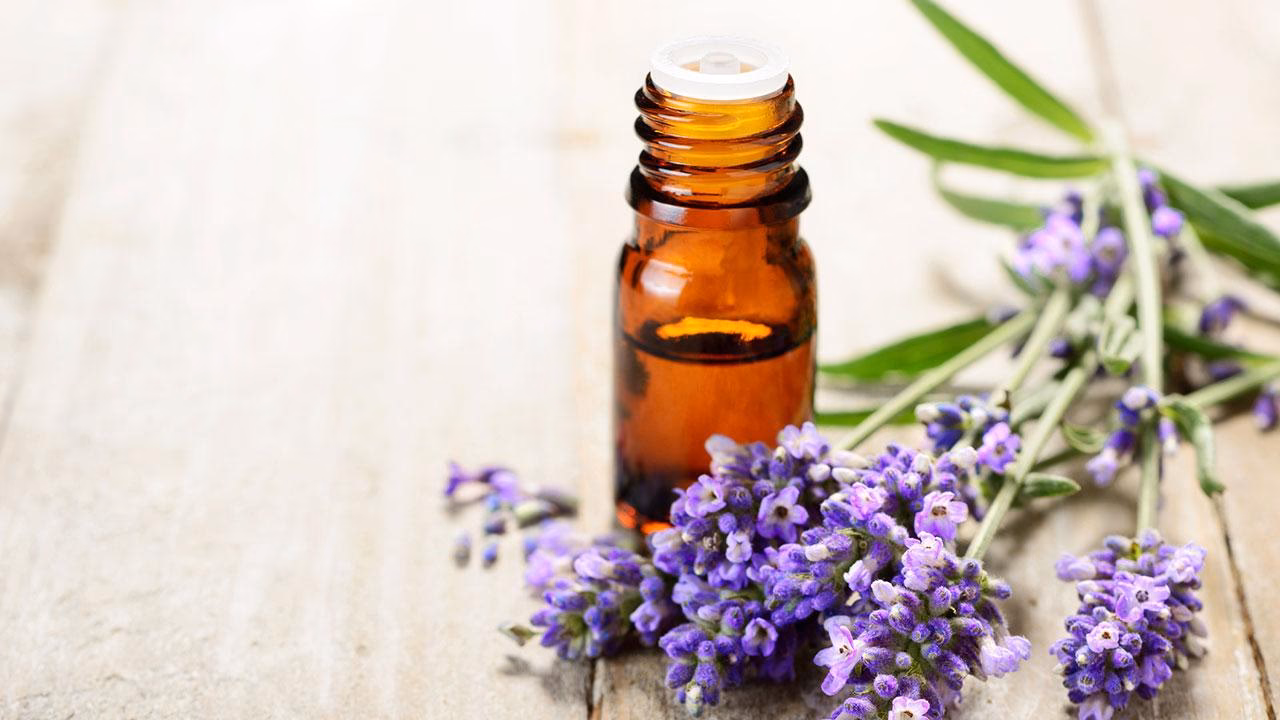 What is a lavender allergy?
