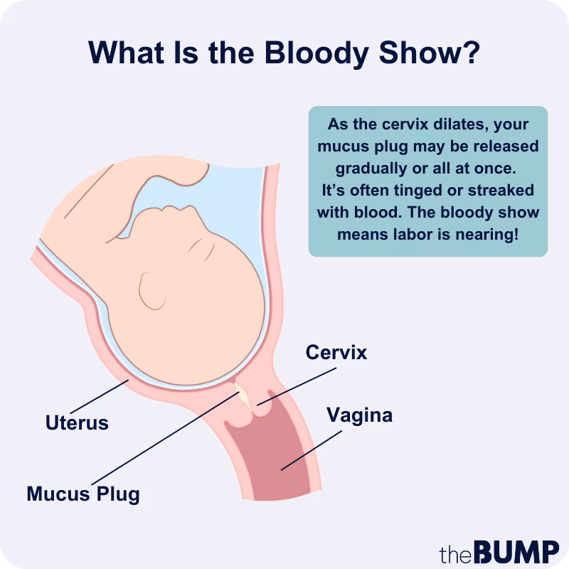How much blood does a woman lose during a vaginal delivery?