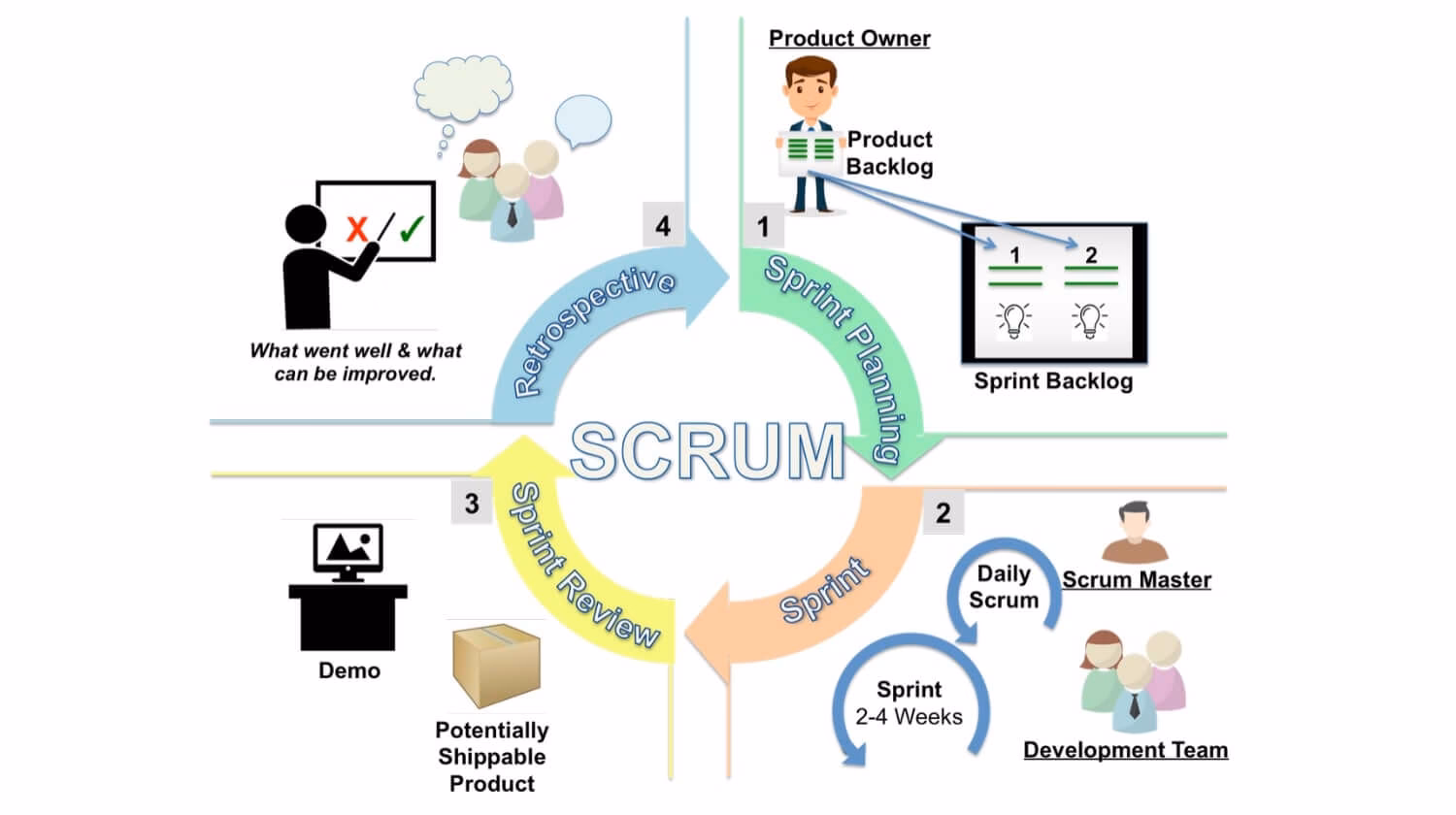 What is scrum & how does it work?
