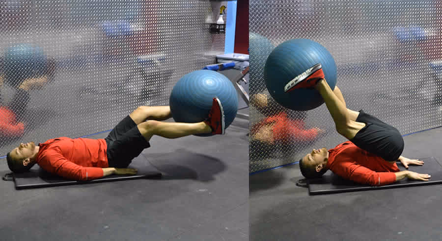 What muscles do medicine balls work?