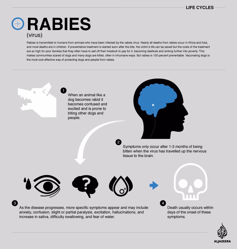 Can You Survive rabies?