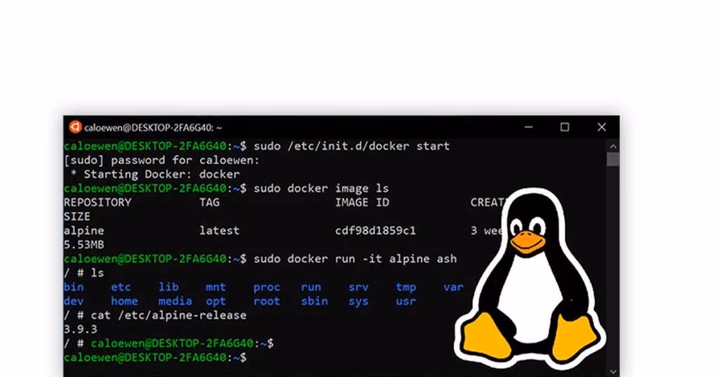 What is the world of operating system?