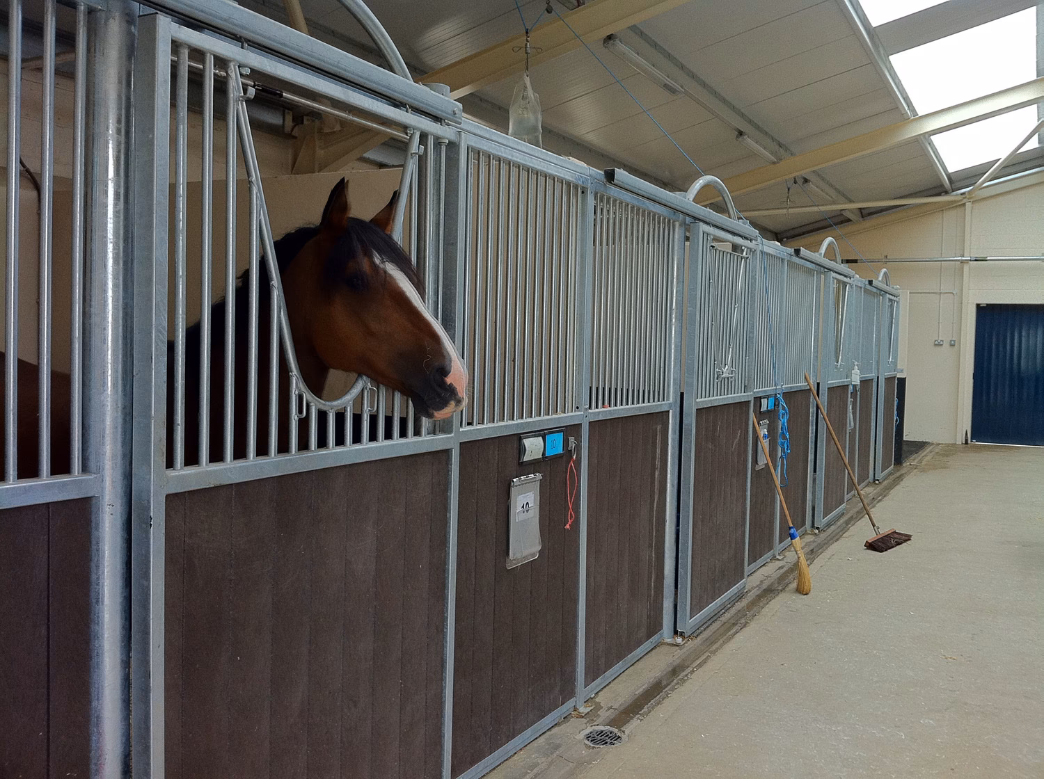 Where is Liphook Equine Hospital?