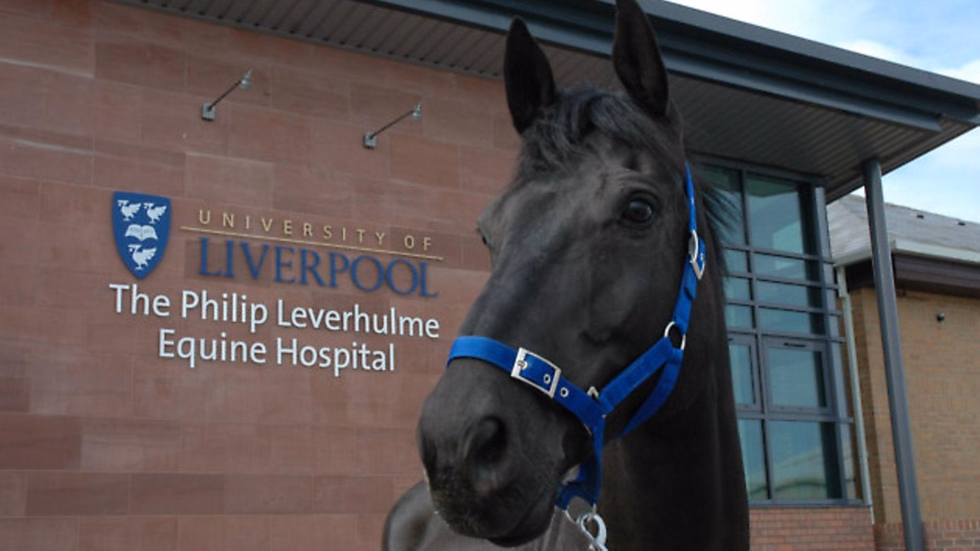 Where is Equine Hospital & Practice?