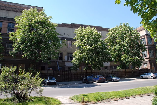 Where is the Medical University of Lodz located?