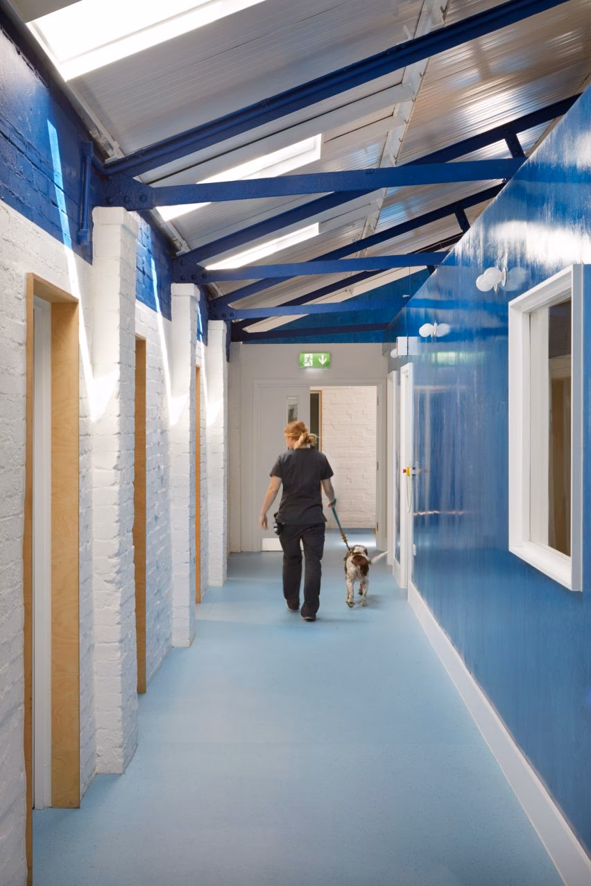 Who is the London vet clinic?