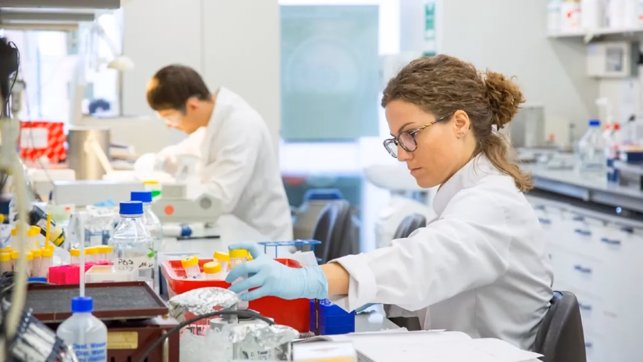 What can I do with an online Master's in perioperative medicine?