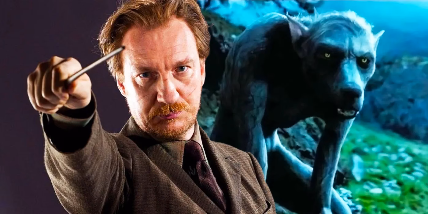 How did Remus Lupin protect Harry Potter?