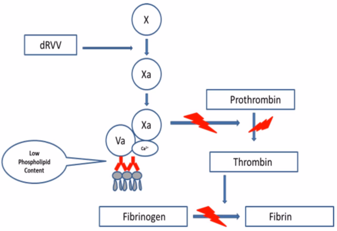 What is lupus anticoagulant (La)?