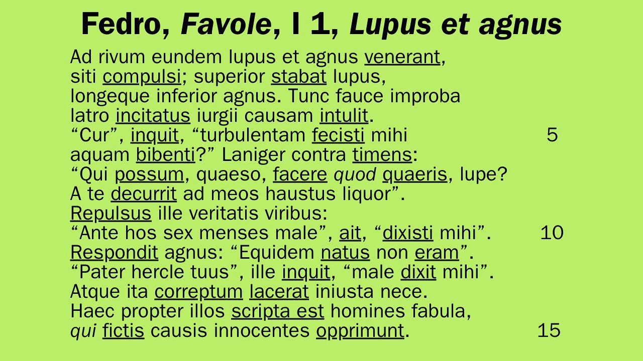 Quels sont les symptômes du lupus ?