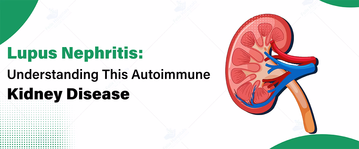 What is the new lupus nephritis guideline?