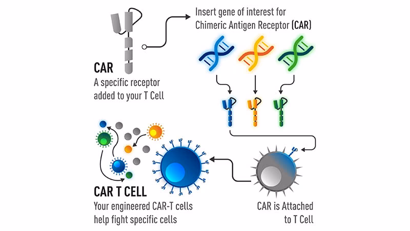 How is lupus treated?